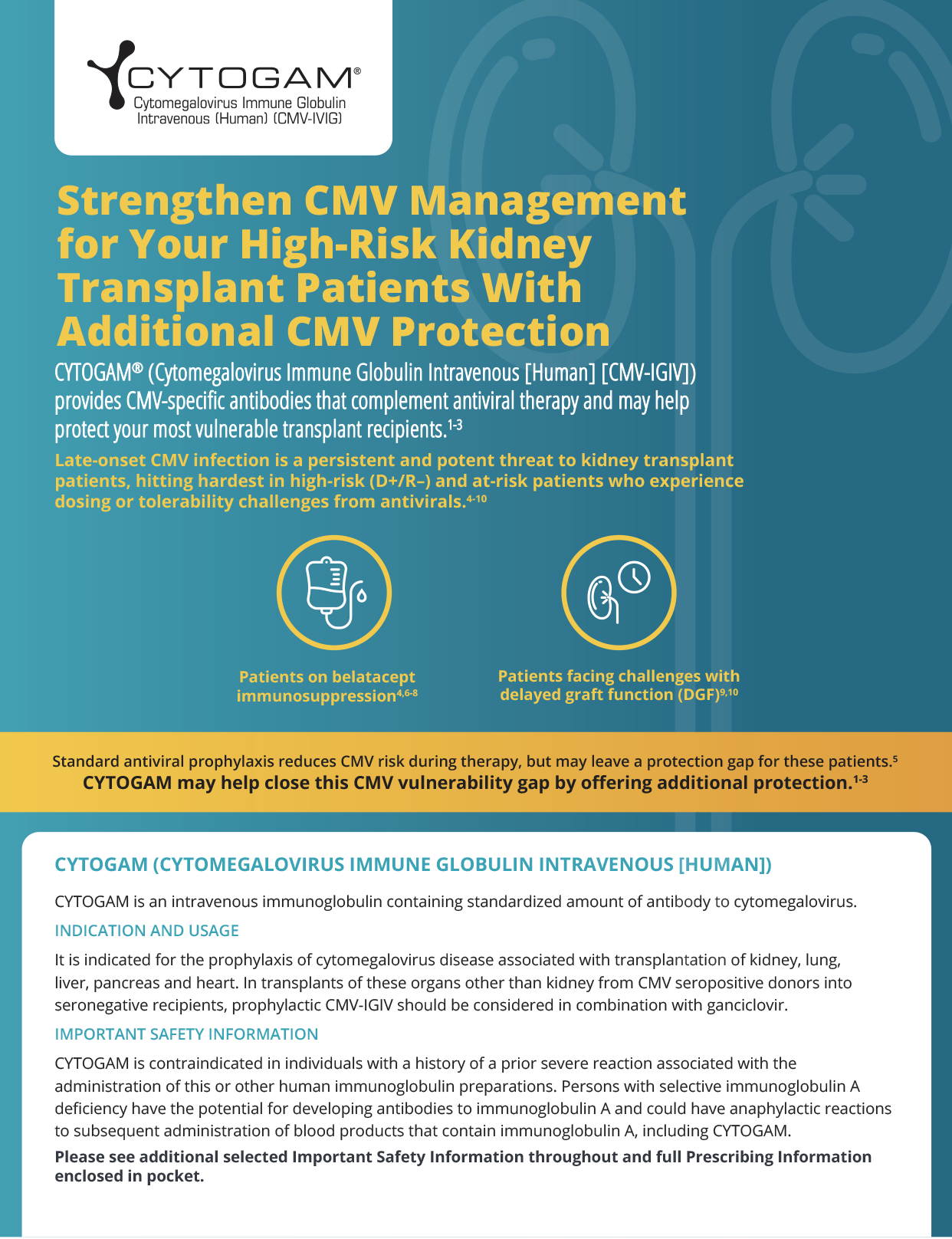HCP Brochure: CMV Protection in High-Risk Kidney Transplant